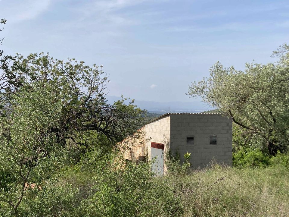 Landejendom i El Perello, Tarragona - foto 1